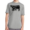 Youth Performance Blend Tee Thumbnail